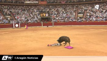 PACMA critica la reanudación de las retransmisiones de corridas de toros en Aragón TV