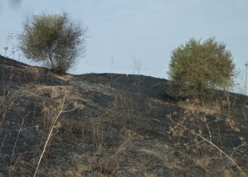 Isla de Tercia arde, las llamas le echan una mano a la especulación