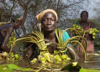 Una de cada once personas sufre hambre en el mundo