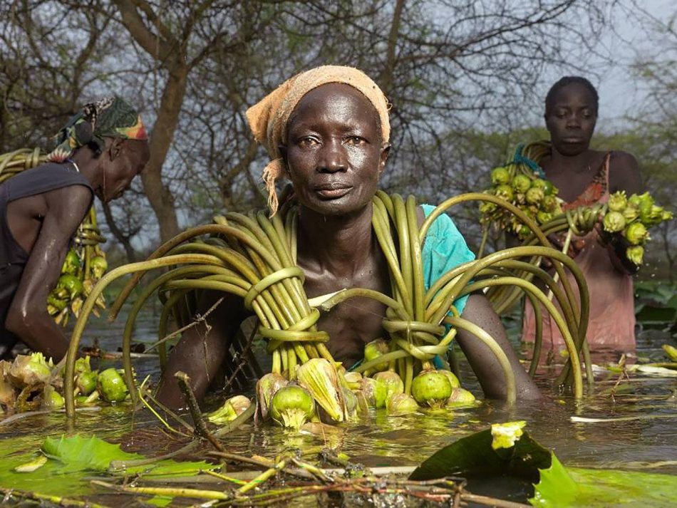 Una de cada once personas sufre hambre en el mundo