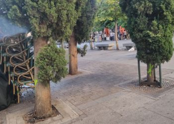 Presentación del proyecto alternativo de reparación del parking de la plaza de Santa Ana que evitaría la tala de la mayoría de sus árboles