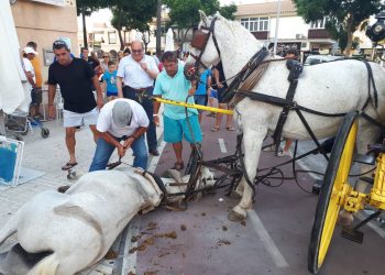 PACMA pide suspender el uso de coches de caballos en Sevilla durante olas de calor