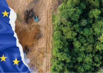 Ecologistas en Acción critican a las comunidades autónomas por su lentitud en implementar la ley europea contra la deforestación