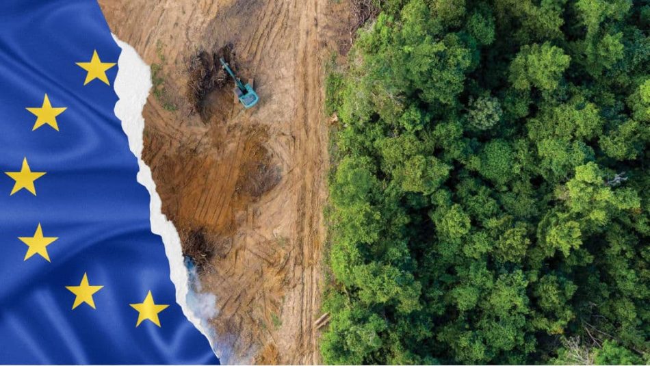 Ecologistas en Acción critican a las comunidades autónomas por su lentitud en implementar la ley europea contra la deforestación