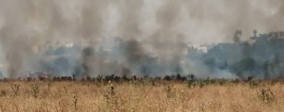 Ecologistas en Acción denuncia los incendios provocados en distintos espacios verdes de Sevilla