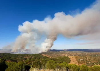 Ecologistas en Acción Córdoba: «El gran incendio forestal en Cerro Muriano no debe de quedar impune»