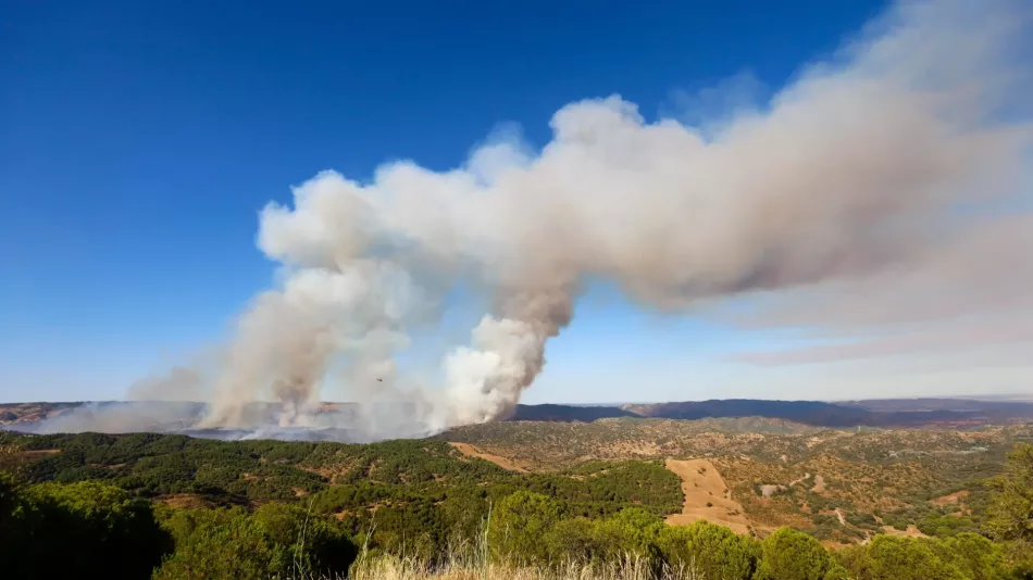 Ecologistas en Acción Córdoba: «El gran incendio forestal en Cerro Muriano no debe de quedar impune»