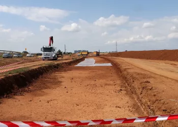 Ecologistas en Acción denuncia la tala de 600 árboles por las obras de la línea 3 del metro de Sevilla