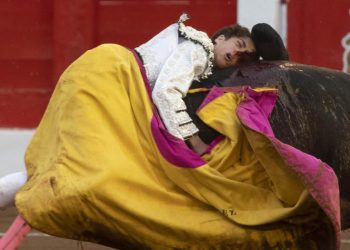 PACMA condena las imágenes de un niño torero con la cara desfigurada tras una novillada