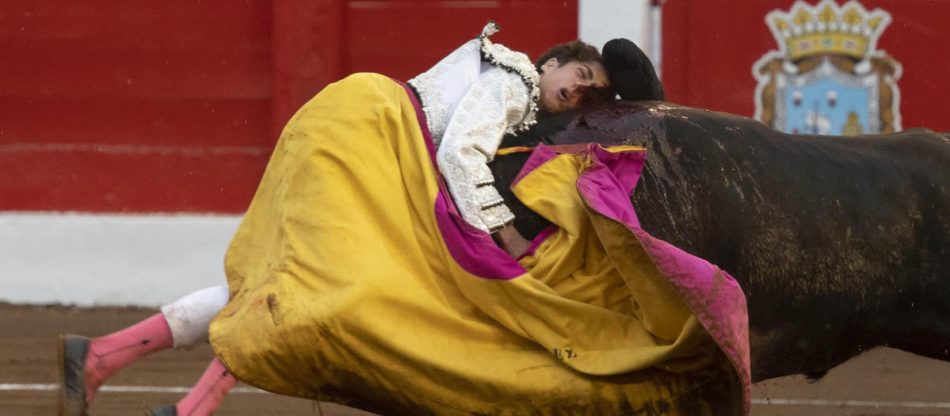 PACMA condena las imágenes de un niño torero con la cara desfigurada tras una novillada