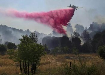 20.000 hectáreas en norte de Israel arden en llamas por ataques de Hezbolá