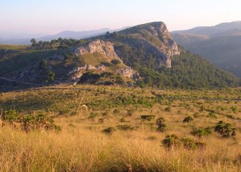 Multan con 25.000 euros a una empresa por organizar excursiones con todoterrenos en un parque natural de Baleares