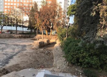 Colectivos ecologistas y sociales de Madrid denuncian al Ayuntamiento por su dejación en el mantenimiento del arbolado urbano