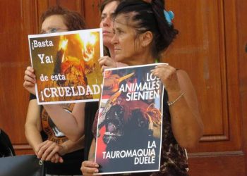 Convocan una nueva protesta contra los eventos taurinos frente al Ayuntamiento de Alfafar 