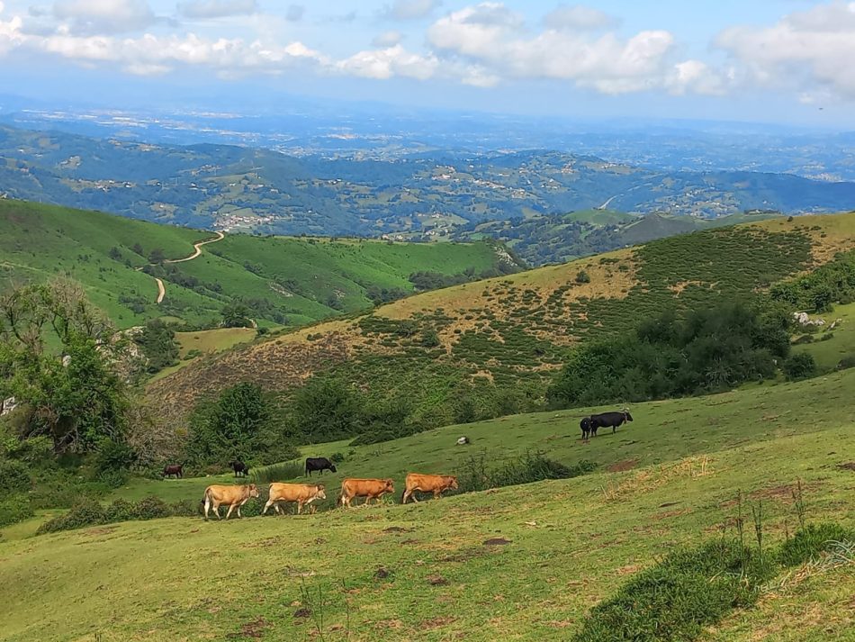 La plataforma Salvemos Peñamayor responde a la Consejería de Transición Ecológica que el permiso de investigación es el primer paso para conseguir el derecho de explotación