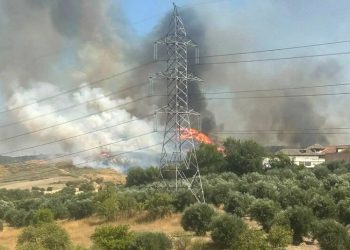 «Los fuegos de la Comunidad de Madrid se pueden reducir actuando sobre las causas»