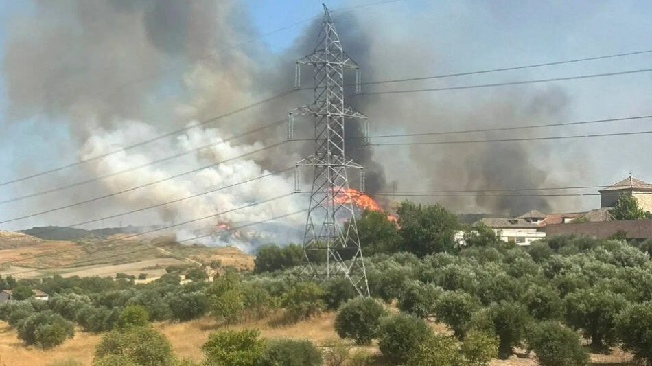 «Los fuegos de la Comunidad de Madrid se pueden reducir actuando sobre las causas»