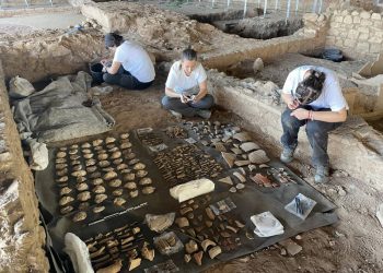 Los restos de un banquete de ostras sugieren un ‘turismo de lujo’ en el siglo II