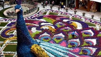 Más de 100 actividades en Feria de las Flores de Medellín, Colombia