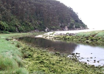 La playa de la Franca de nuevo presenta mala calidad de sus aguas que el Principado esconde