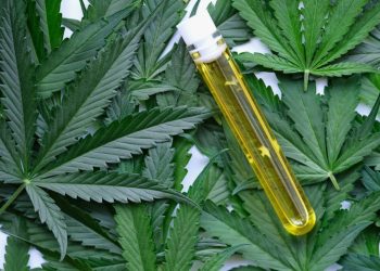 Productos a base de CBD ¿son realmente eficaces?