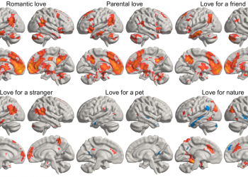 Un estudio muestra cómo el amor estimula nuestro cerebro