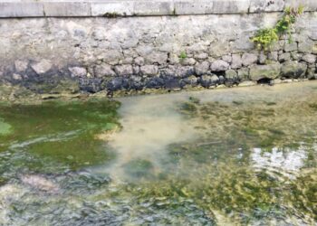 Denuncian nuevos vertidos en Llanes en el río Carrocedo (Asturias)