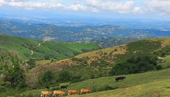 Cientos de recursos presentados contra la mina de Peñamayor en Nava, Asturias