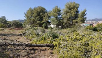 Denuncien unes obres en terrenys forestals a Gavà, vinculades al Pla de Ponent, en ple agost i pressumptament incomplint el Pla Alfa per risc d’incendis