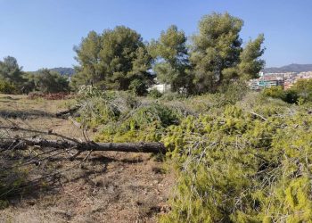 Denuncien unes obres en terrenys forestals a Gavà, vinculades al Pla de Ponent, en ple agost i pressumptament incomplint el Pla Alfa per risc d’incendis