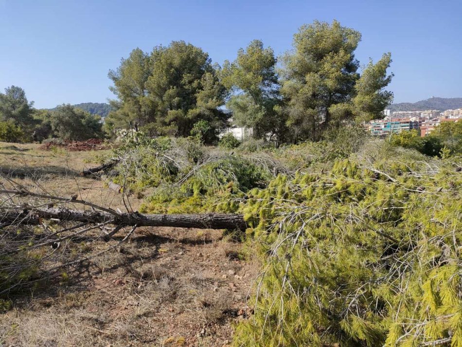 Denuncien unes obres en terrenys forestals a Gavà, vinculades al Pla de Ponent, en ple agost i pressumptament incomplint el Pla Alfa per risc d’incendis