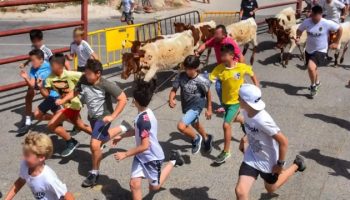 LTNEC: «El ayuntamiento de Leganés quiere educar en el maltrato animal»