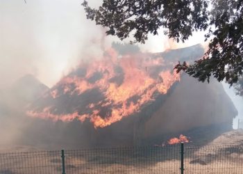 UED pide mayor inversión en dotación y en prevención de incendios tras la tragedia medioambiental en el Castro Celta de El Raso