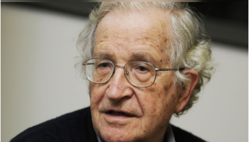 Chomsky y sus reflexiones sobre la crisis ambiental