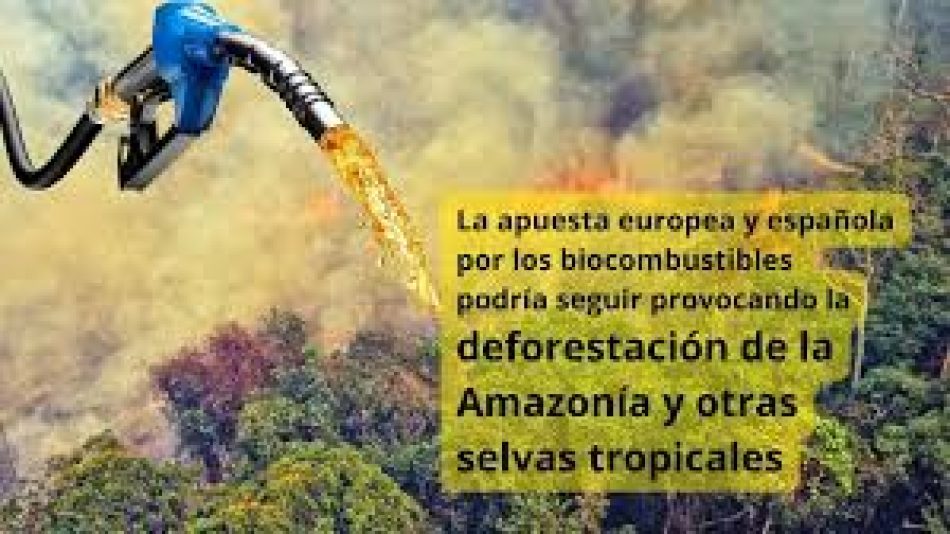 La apuesta europea y española por los biocombustibles podría seguir provocando la deforestación de la Amazonía y otras selvas tropicales