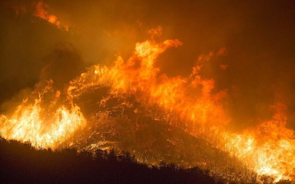 Deforestación: la espiral del fuego en los bosques