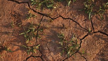 «Sin agua en Teulada (Alicante): Las causas ocultas»