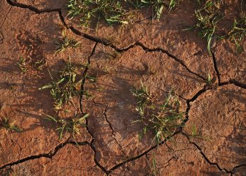 «Sin agua en Teulada (Alicante): Las causas ocultas»