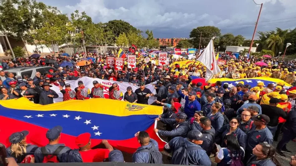 Veedores chilenos instan a respetar la institucionalidad venezolana