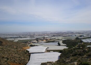 Los alimentos de consumo diario están contaminados con más de 100 plaguicidas