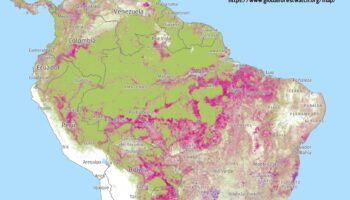 Los incendios se apagan en tu plato