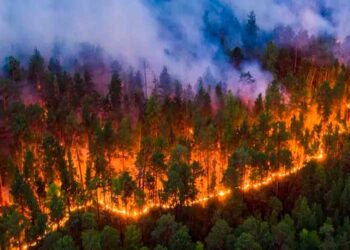 Incendios forestales castigan a Ecuador