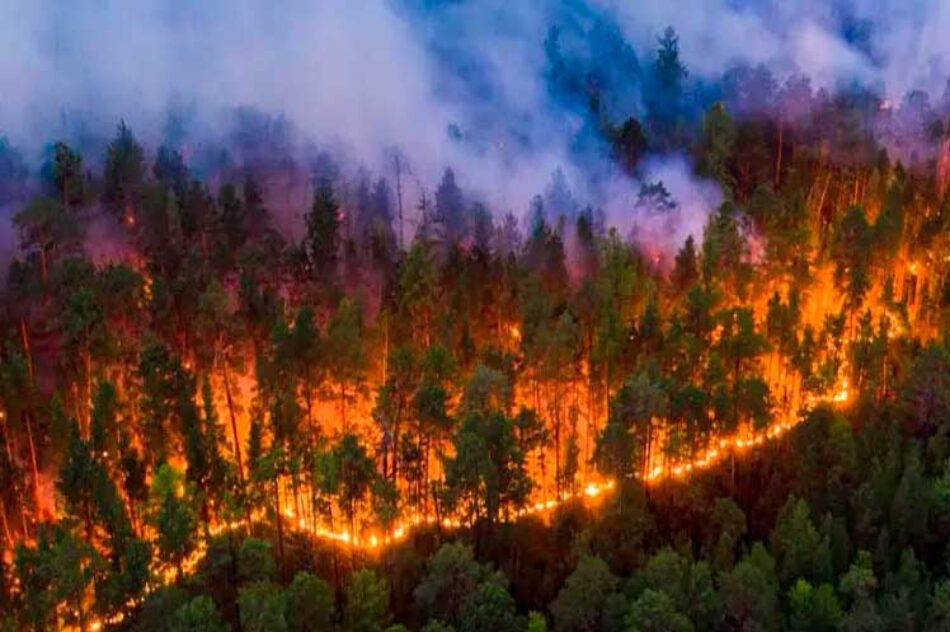 Incendios forestales castigan a Ecuador