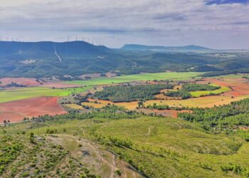 Denuncian ante la Comisión Europea por la implantación de 25 plantas fotovoltaicas en la zona de Ayora