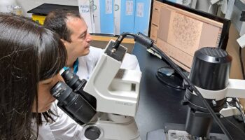 Organoides con células de pacientes frente al cáncer colorrectal