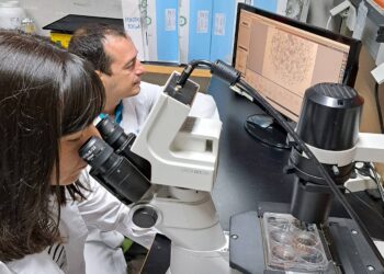 Organoides con células de pacientes frente al cáncer colorrectal