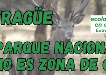 Las asociaciones ecologistas de Extremadura expusieron su postura en la reunión del consejo regional de caza celebrado en Badajoz el 13 de septiembre de 2024