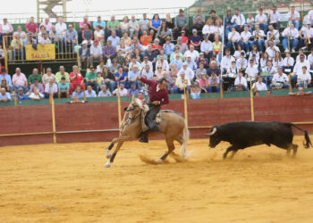 PACMA reprocha al Ayuntamiento de Alcalá la Real que, teniendo la tasa más alta de suicidios de España, se gaste 30.000 € en la muerte y tortura de seis toros