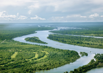 IIDMA alerta del déficit en la aplicación de las normas para proteger la biodiversidad en su informe sobre los «derechos de la naturaleza»