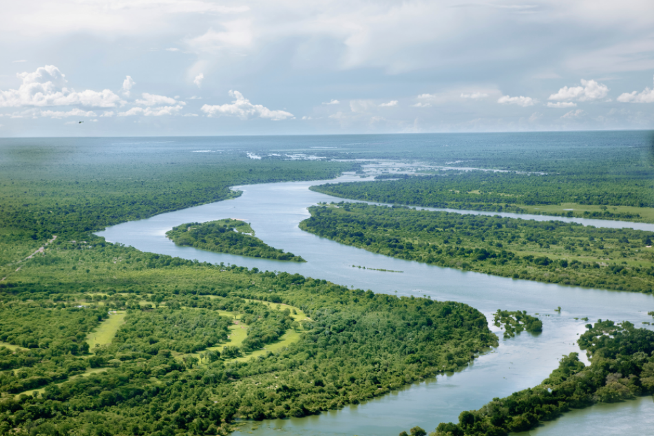 IIDMA alerta del déficit en la aplicación de las normas para proteger la biodiversidad en su informe sobre los «derechos de la naturaleza»